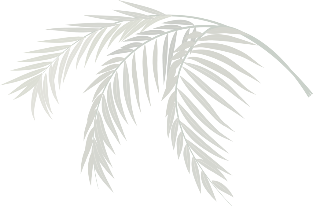 palma deco
